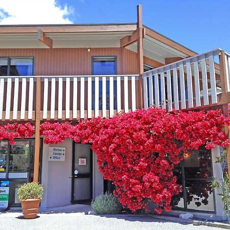 Picton Campervan Park Ngoại thất bức ảnh